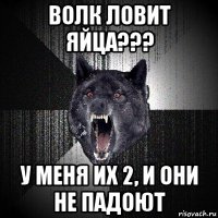 волк ловит яйца??? у меня их 2, и они не падоют