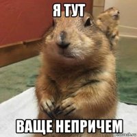 я тут ваще непричем