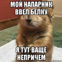 мой напарник ввел белку я тут ваще непричем