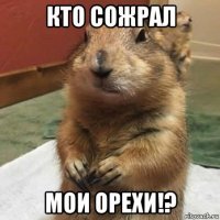 кто сожрал мои орехи!?