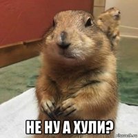  не ну а хули?