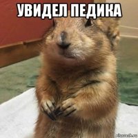 увидел педика 