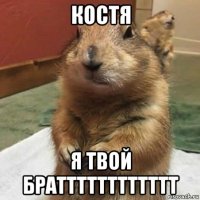 костя я твой братттттттттттт