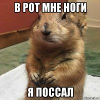 в рот мне ноги я поссал