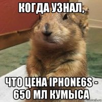 когда узнал, что цена iphone6s - 650 мл кумыса