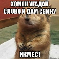 хомяк угадай слово и дам семку икмес!