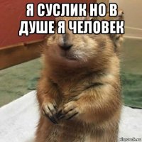 я суслик но в душе я человек 