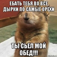 ебать тебя во все дырки по самые орехи ты сьел мой обед!!!