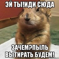 эй ты!иди сюда зачем?пыль вытирать будем!