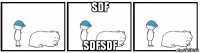 sdf sdfsdf