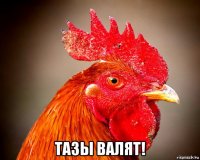  тазы валят!