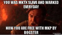 you was mktx slave and warked everyday now you are free with mkp by bogster