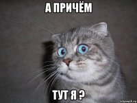 а причём тут я ?