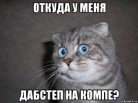 откуда у меня дабстеп на компе?