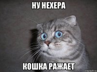 ну нехера кошка ражает