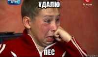 удалю пес