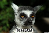  tdp4:fanat