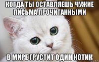 когда ты оставляешь чужие письма прочитанными в мире грустит один котик