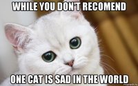 while you don't recomend one cat is sad in the world