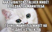 аказывается stallker живёт в подвале у майнглеба точнее майнглеб живёт на чедаке у stallkerа