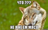 что ??? не я не ем мясо