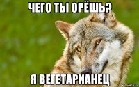 чего ты орёшь? я вегетарианец