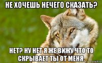 не хочешь нечего сказать? нет? ну нет я же вижу что то скрывает ты от меня.