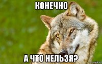 конечно а что нельзя?