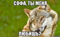 софа, ты меня любишь?