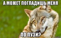 а может погладишь меня по пузи?