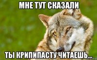 мне тут сказали ты крипипасту читаешь...