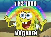 1 из 1000 модулей