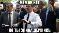 мемов нет но ты элина держись