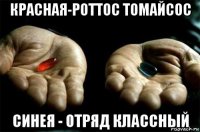 красная-роттос томайсос синея - отряд классный