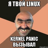 я твой linux kernel panic вызывал