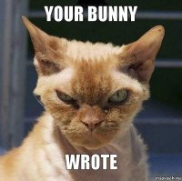 Your bunny wrote