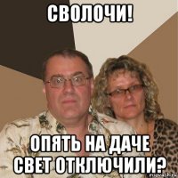 сволочи! опять на даче свет отключили?