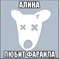 алина любит фараила