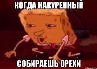 когда накуренный собираешь орехи