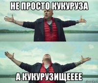 не просто кукуруза а кукурузищееее