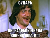 сударь вы насрали мне на кончик шпаги!!!