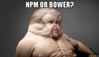 npm or bower? 
