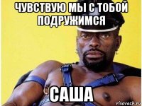 чувствую мы с тобой подружимся саша