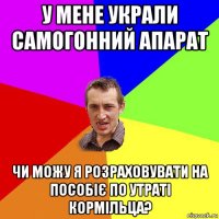 у мене украли самогонний апарат чи можу я розраховувати на пособіє по утраті кормільца?