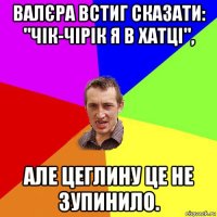 валєра встиг сказати: "чік-чірік я в хатці", але цеглину це не зупинило.