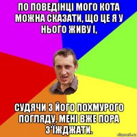 по поведінці мого кота можна сказати, що це я у нього живу і, судячи з його похмурого погляду, мені вже пора з'їжджати.