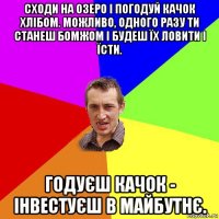 сходи на озеро і погодуй качок хлібом. можливо, одного разу ти станеш бомжом і будеш їх ловити і їсти. годуєш качок - інвестуєш в майбутнє.