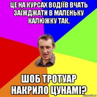 це на курсах водіїв вчать заїжджати в маленьку калюжку так, шоб тротуар накрило цунамі?