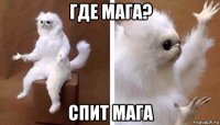 где мага? спит мага