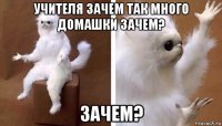 учителя зачем так много домашки зачем? зачем?